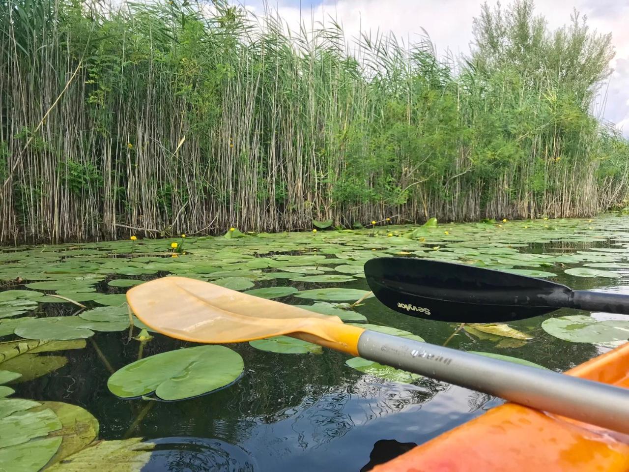 Skadar Lake Apartments Pajovic Virpazar Eksteriør bilde