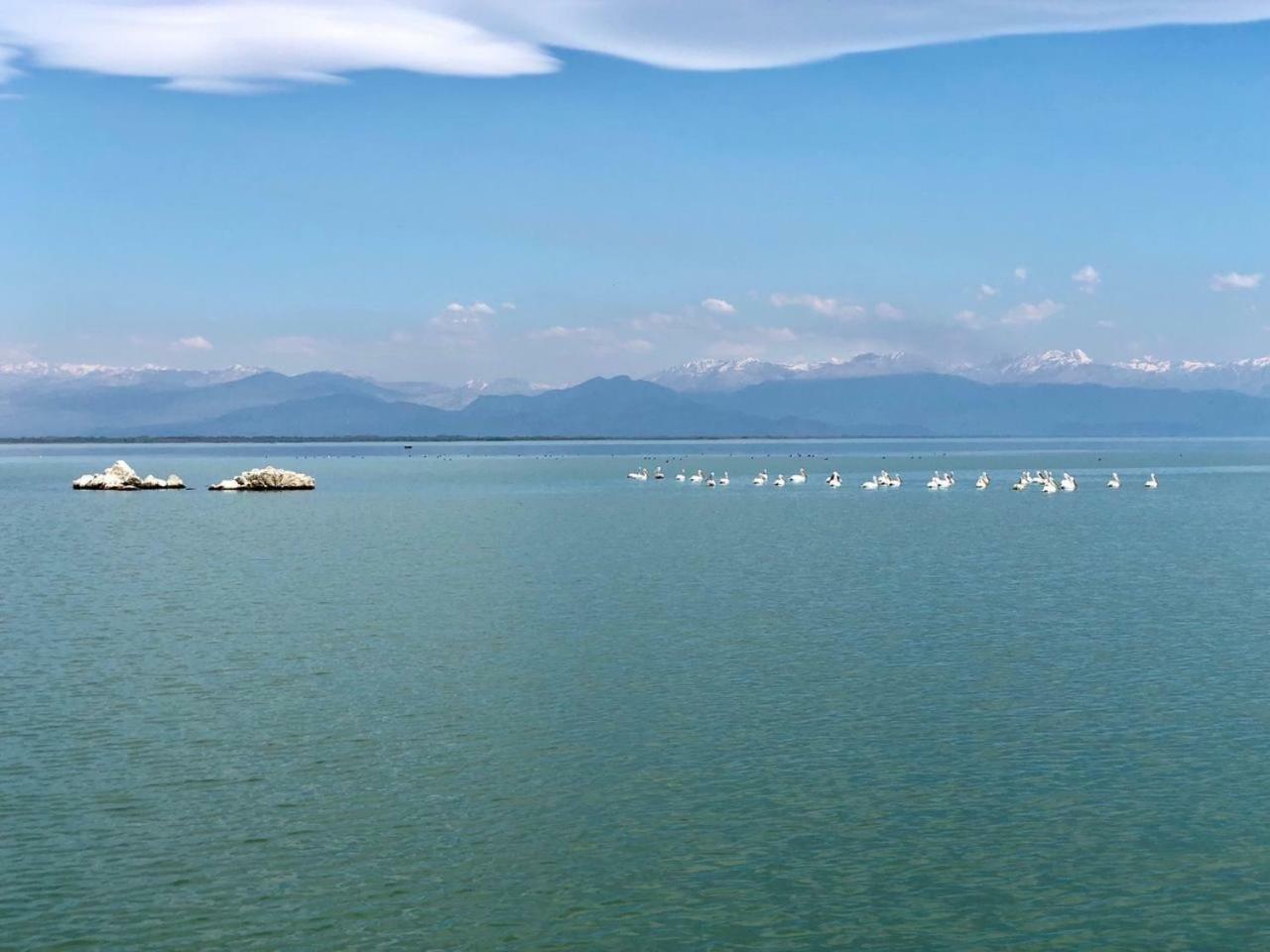 Skadar Lake Apartments Pajovic Virpazar Eksteriør bilde